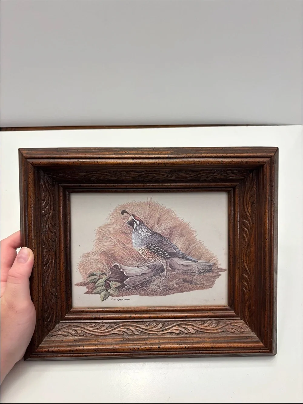 N/A vintage quail